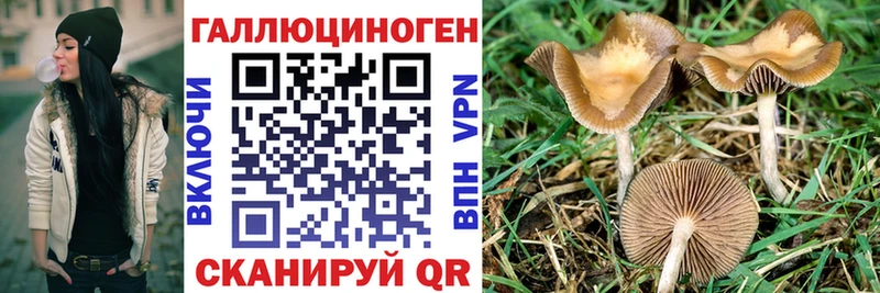 Галлюциногенные грибы ЛСД  дарнет шоп  ОМГ ОМГ ONION  Вяземский 
